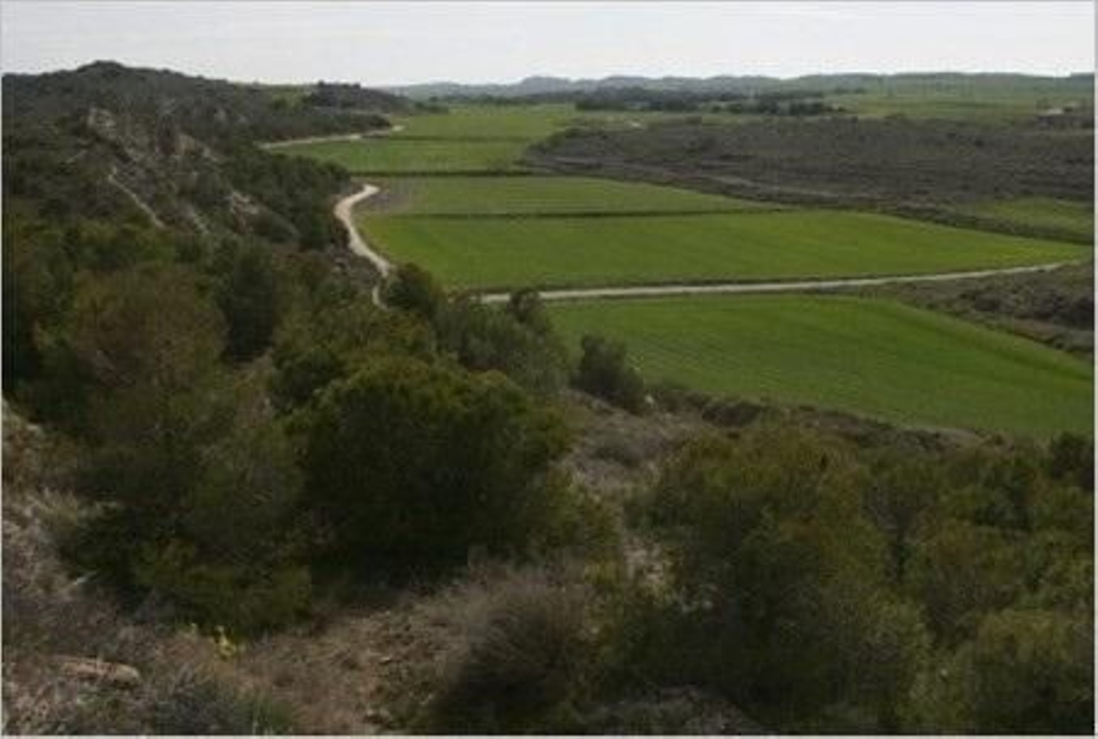 La Generalitat destina 59,49 millones al CGE.