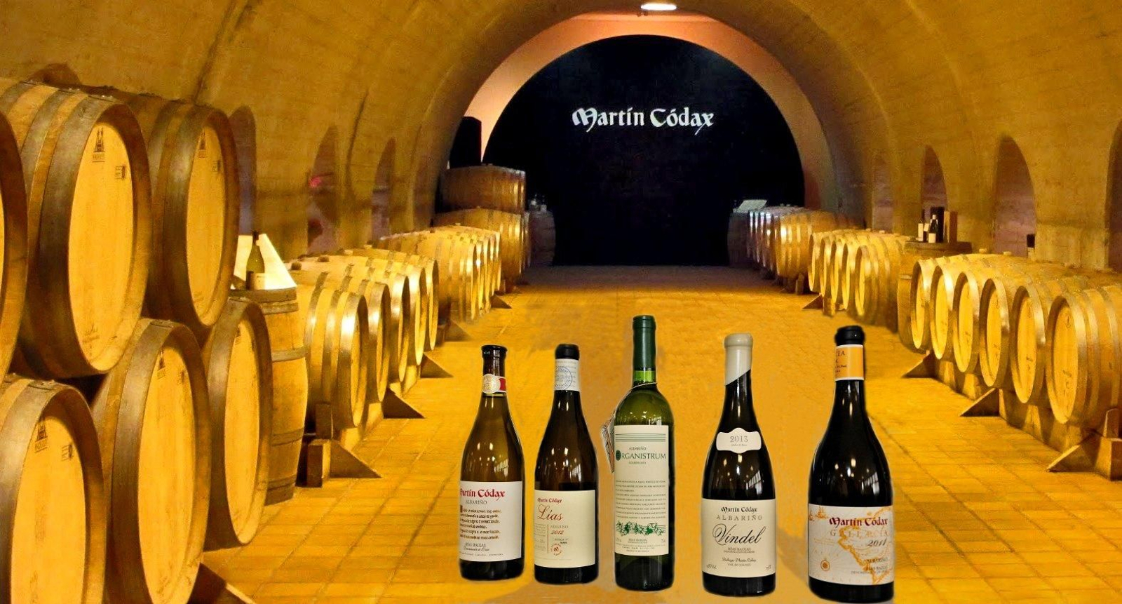 Fotogalería múltiple 02.11.22