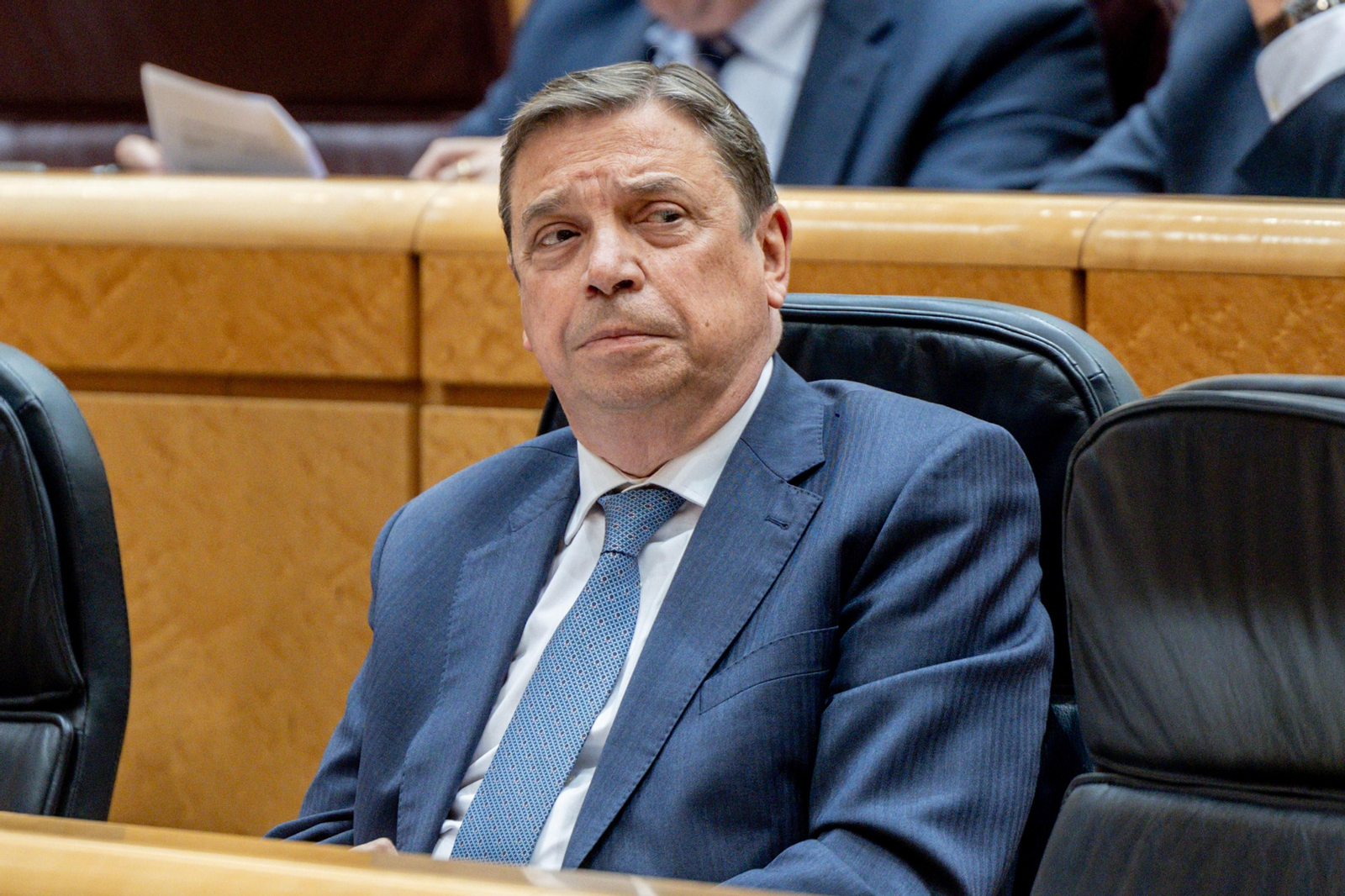 El ministro de Agricultura, Pesca y Alimentación, Luis Planas, durante una sesión de control al Gobierno, en el Senado,