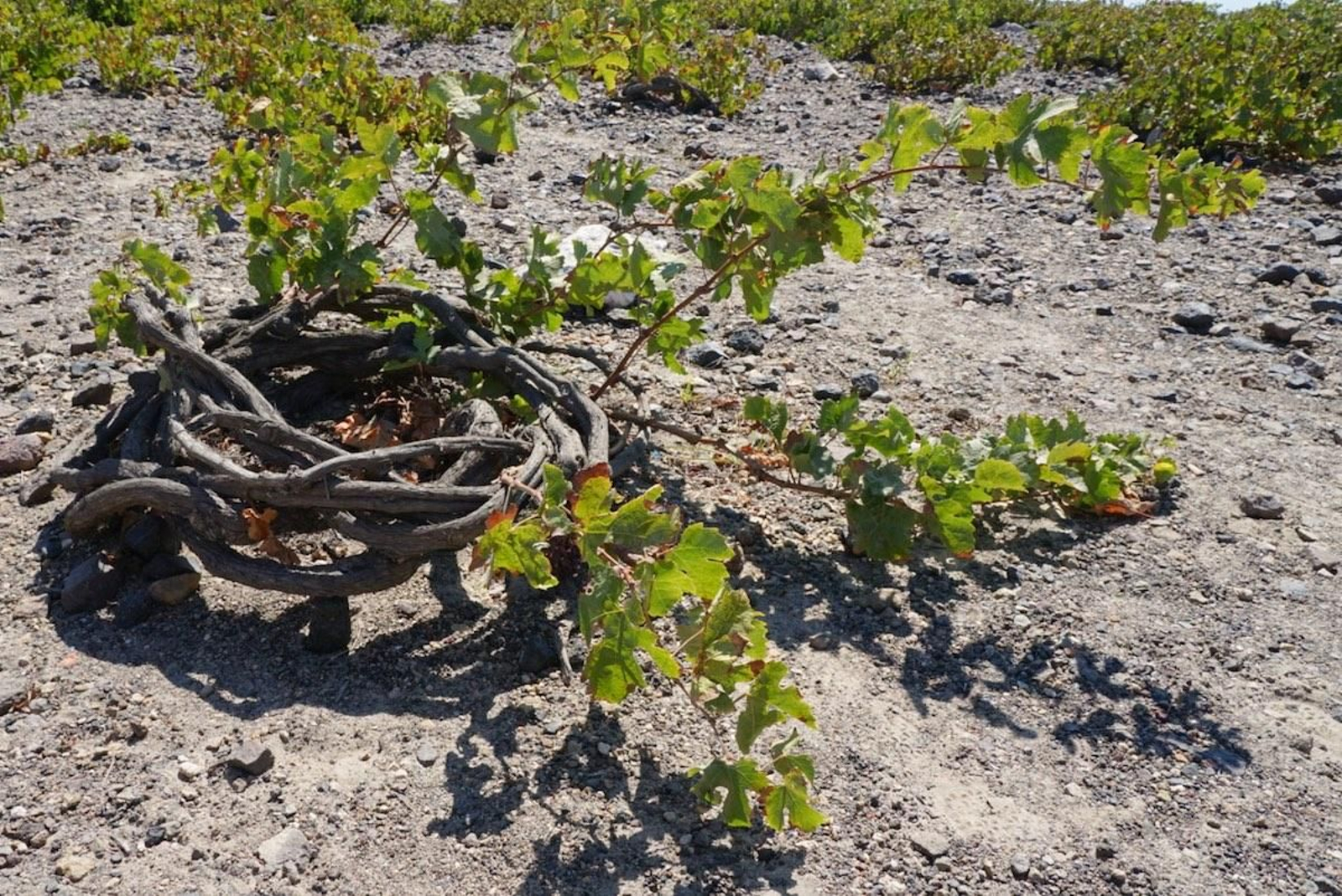 Las imágenes del día: 23 de abril de 2022