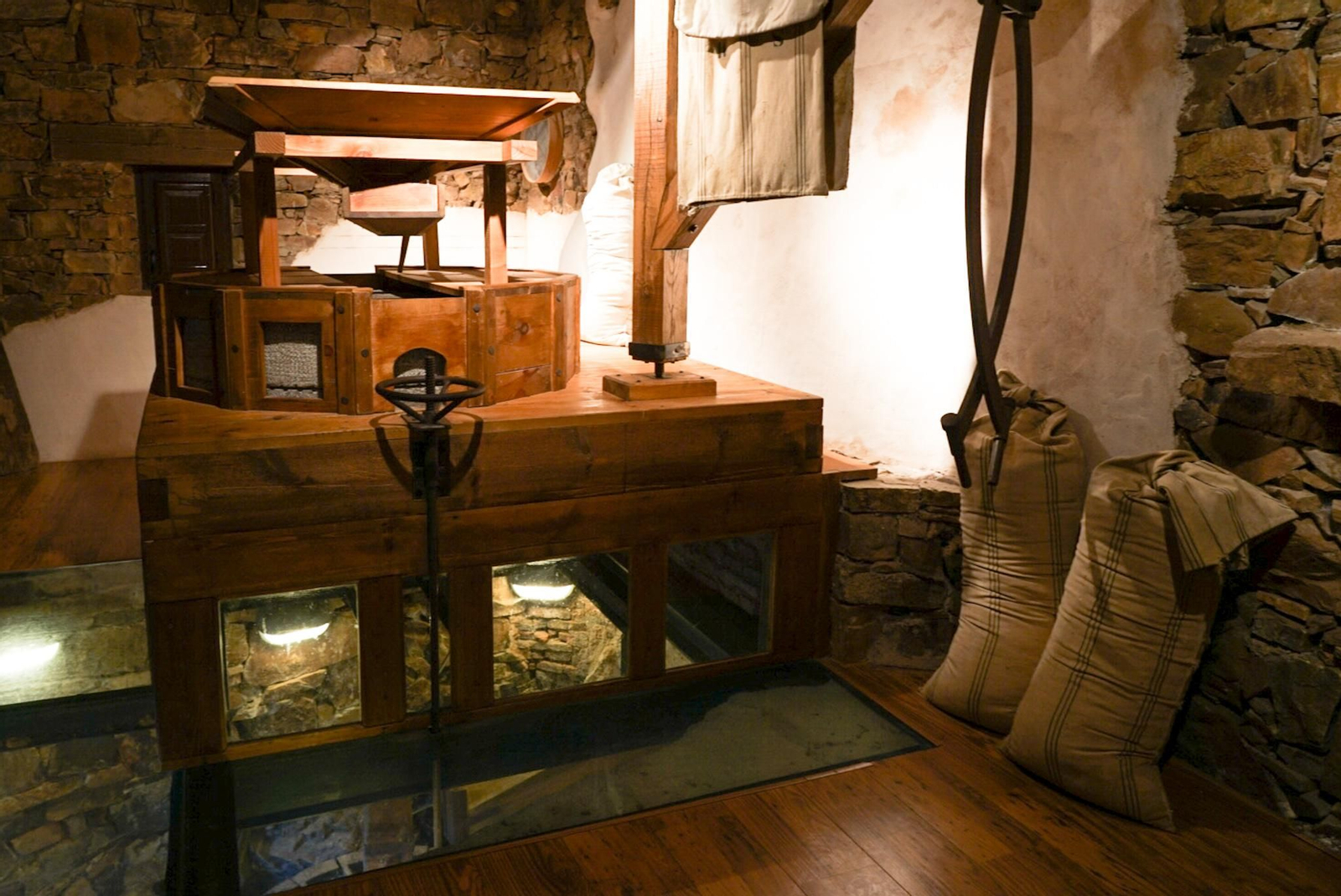 Fotogalería ZIP 02.11.22