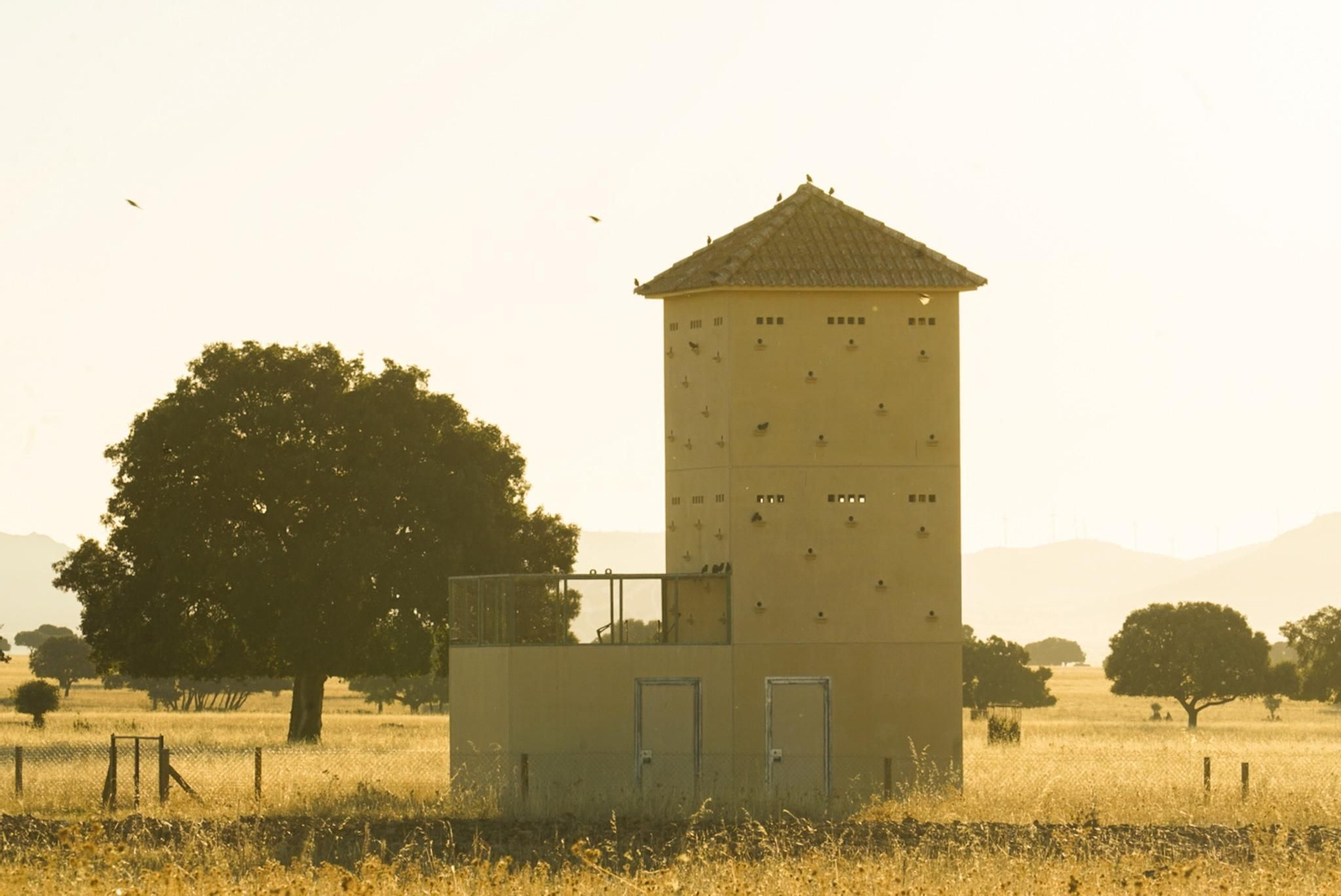 Fotogalería ZIP 02.11.22