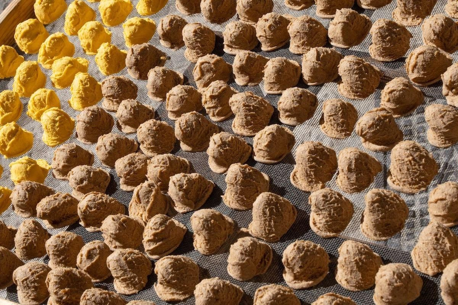 Las imágenes del día: 27 de octubre