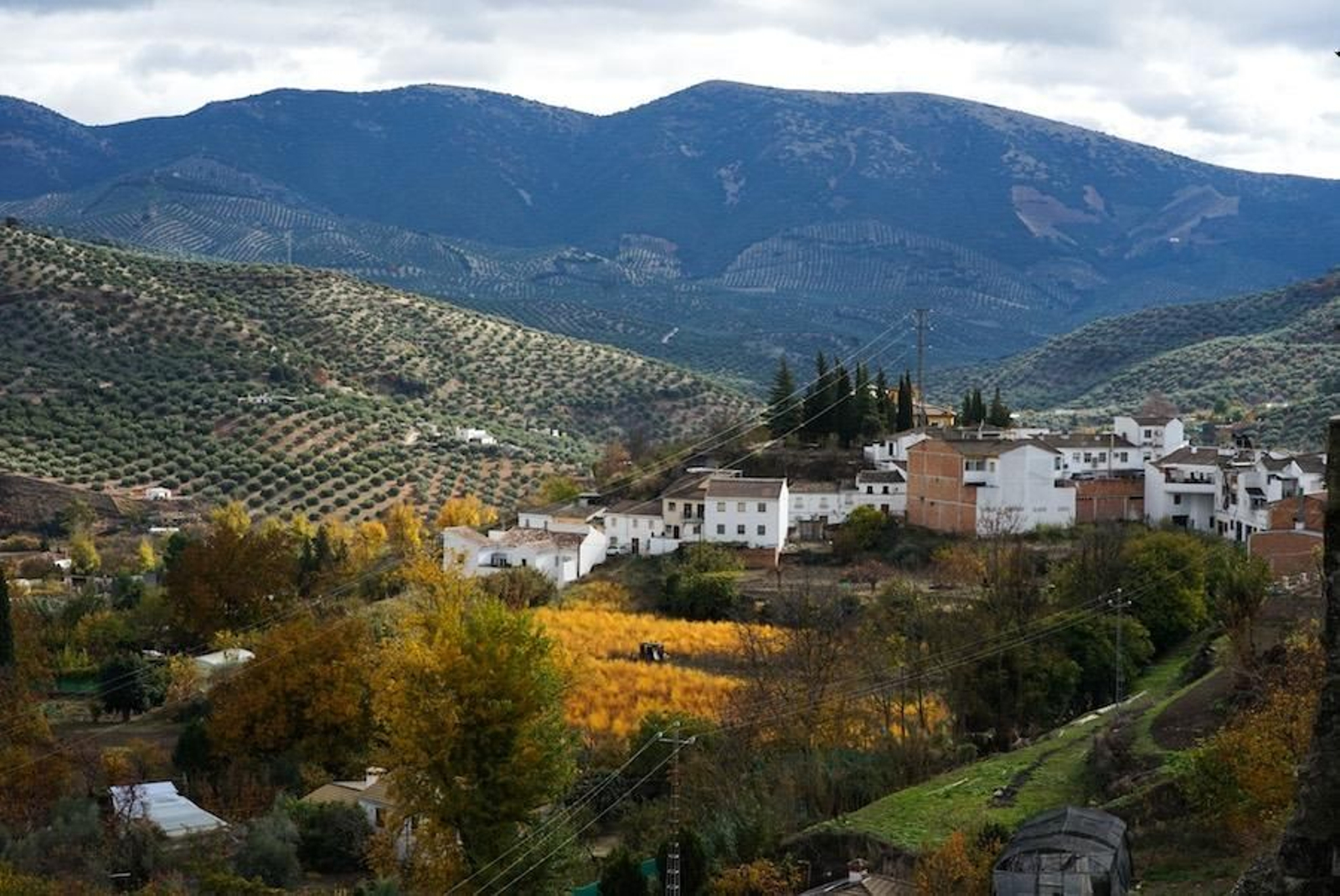 Las imágenes del 8M: Día de la Mujer