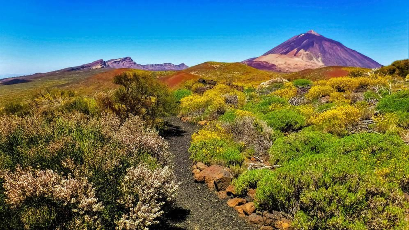 Fotogalería múltiple 02.11.22