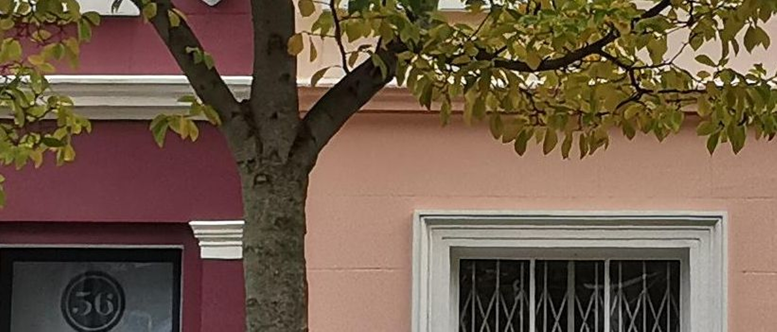 Fotogalería test 26 de mayo