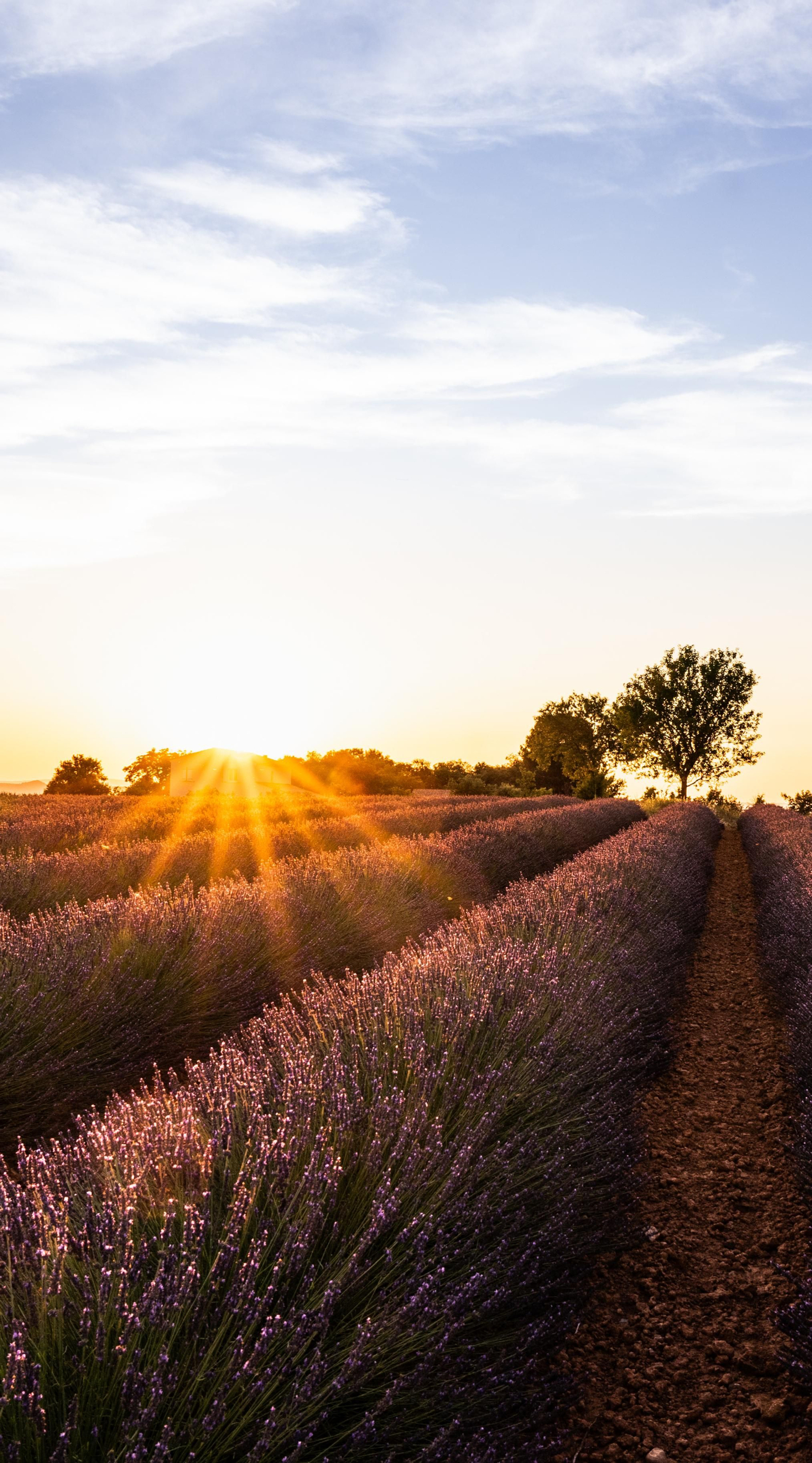 Fotogalería test 26 de mayo
