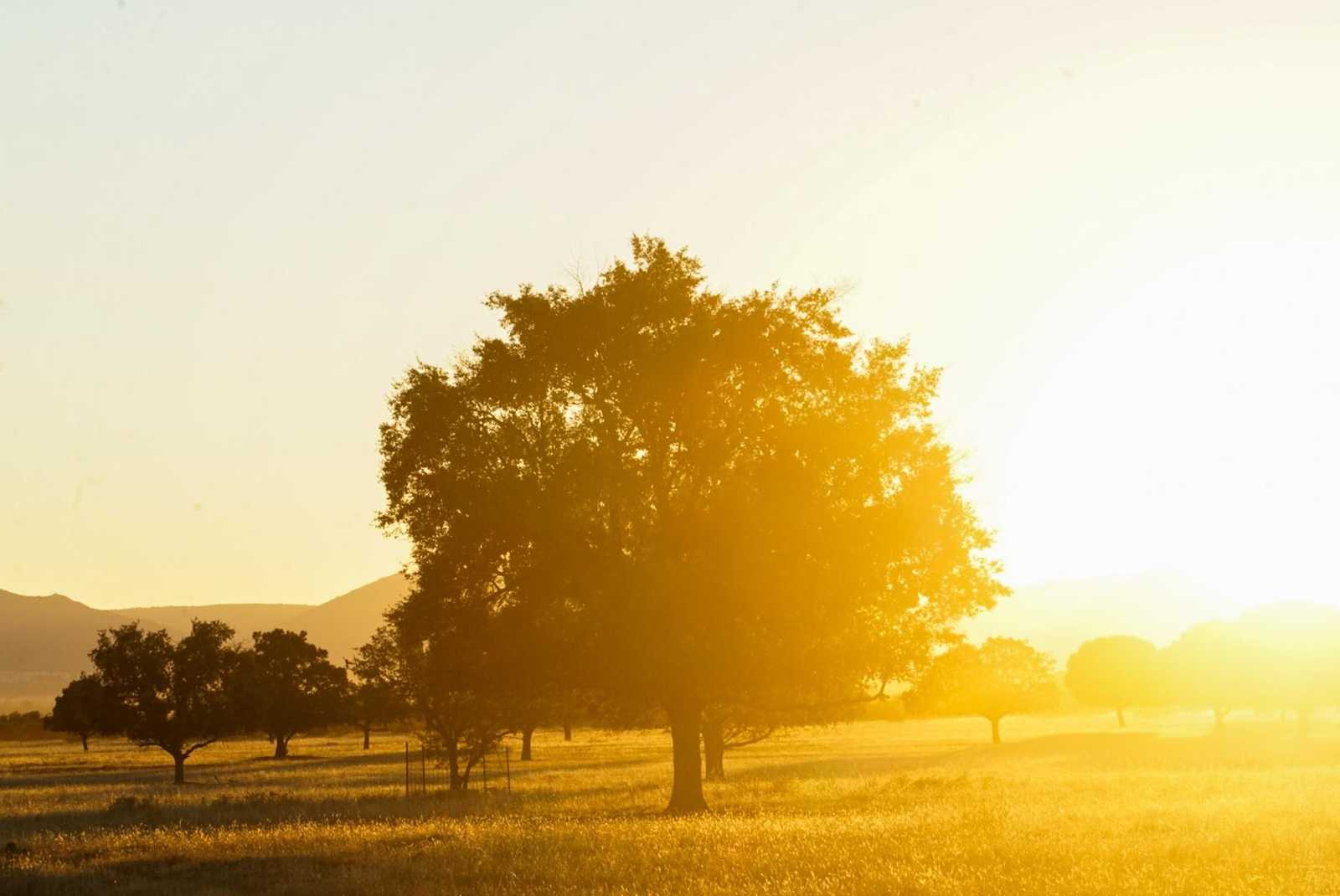 Fotogalería ZIP 02.11.22