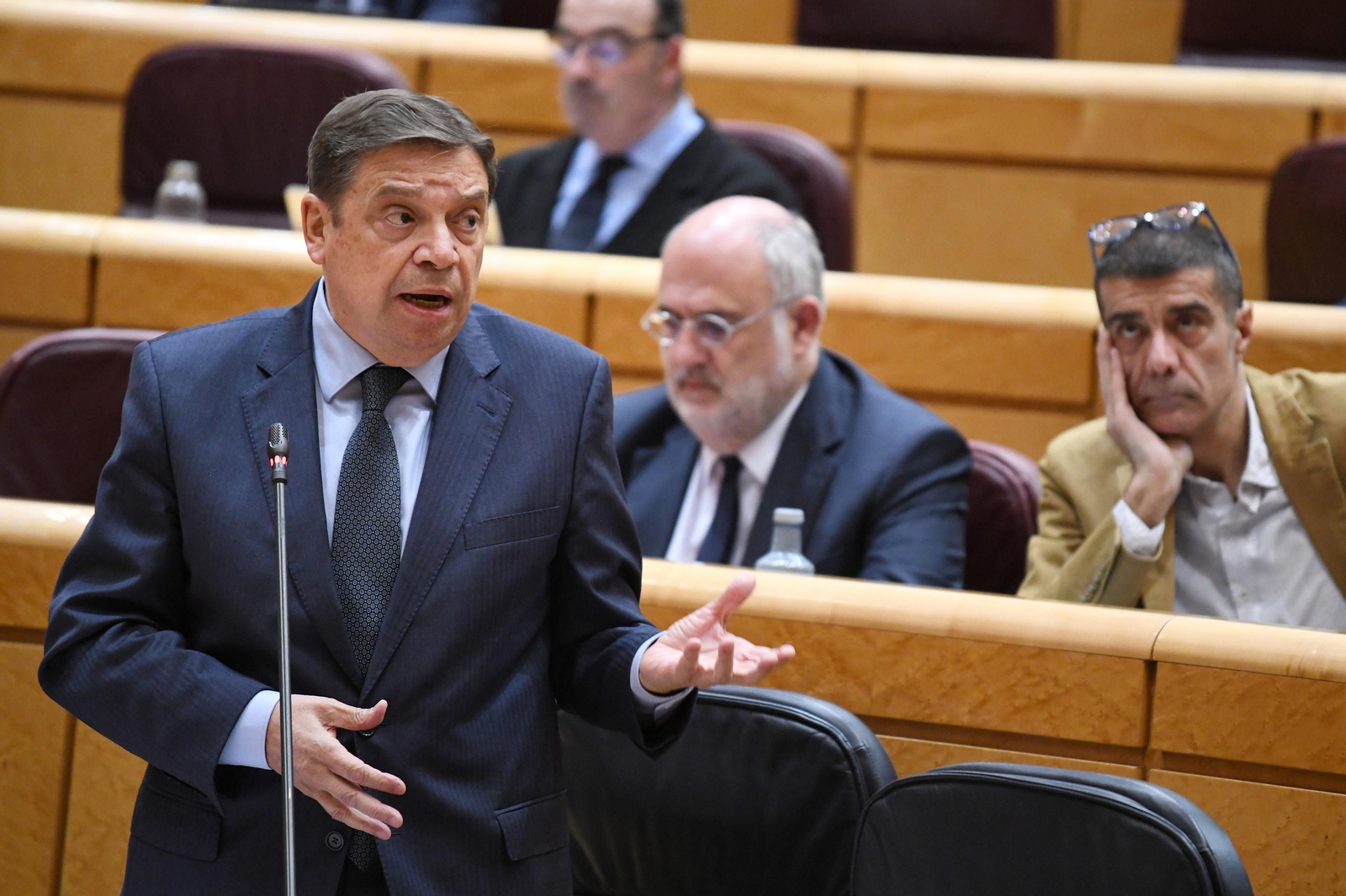 Archivo - El ministro de Agricultura, Pesca y Alimentación, Luis Planas, durante una sesión de control al Gobierno, en el Senado